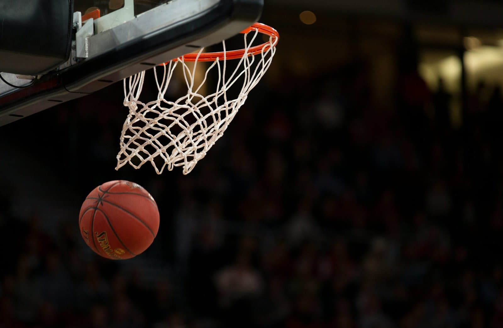 basketball hoop